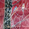 kathryn-duncan-bluebirds-in-early-spring-web_wm
