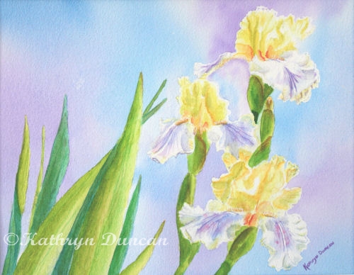 Springtime Yellow Blooms - Irises